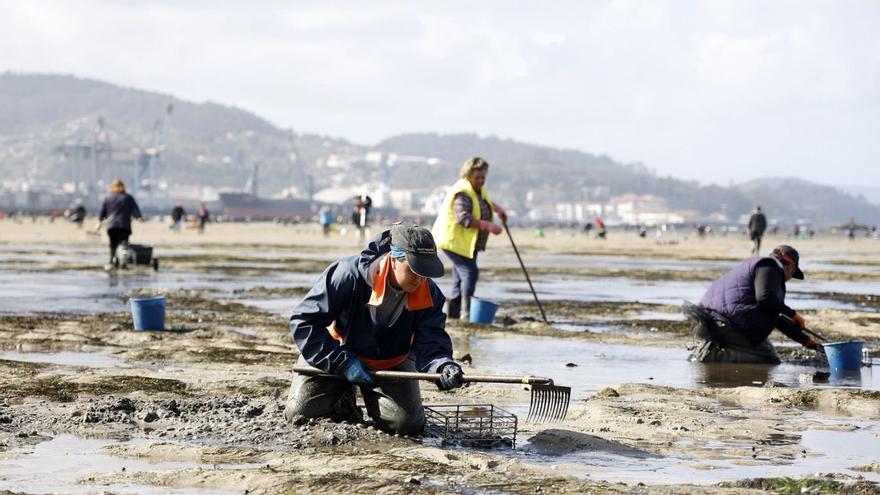 Mariscadoras trabajando en Poio, en la ría de Pontevedra. |  GUSTAVO SANTOS