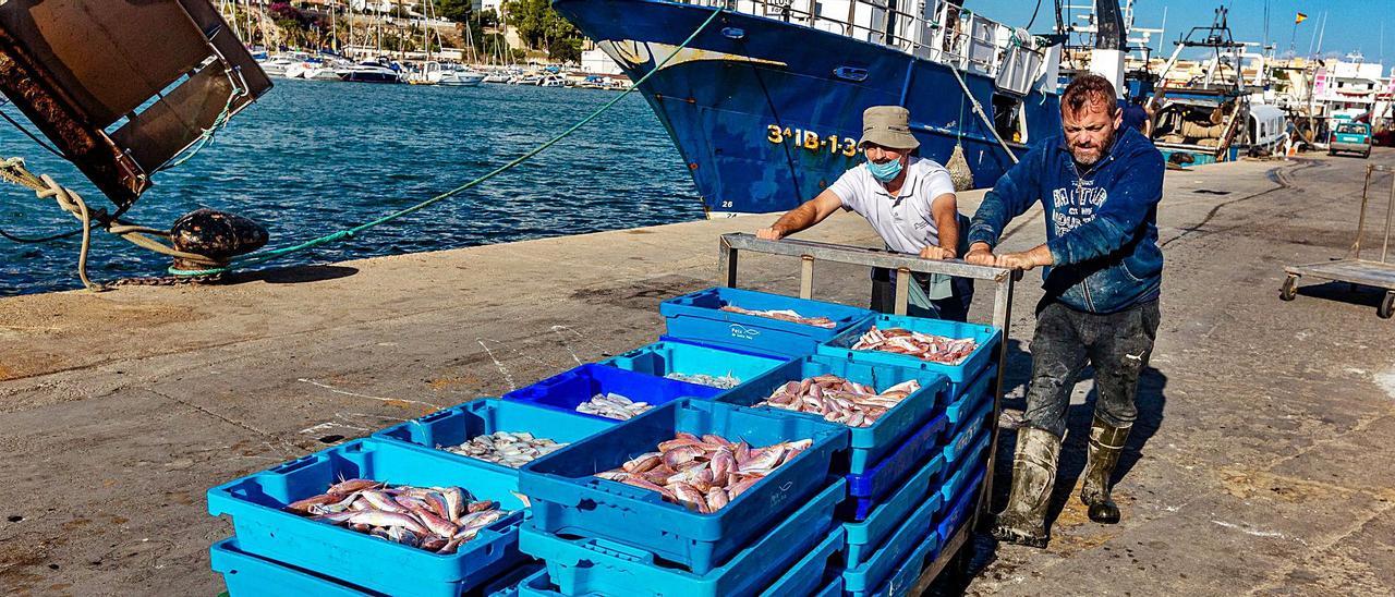 Dos pescadores descargan las capturas en el puerto de La Vila. | David Revenga