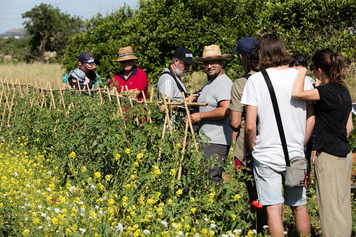 Finca ecológica Tierra de Ibiza