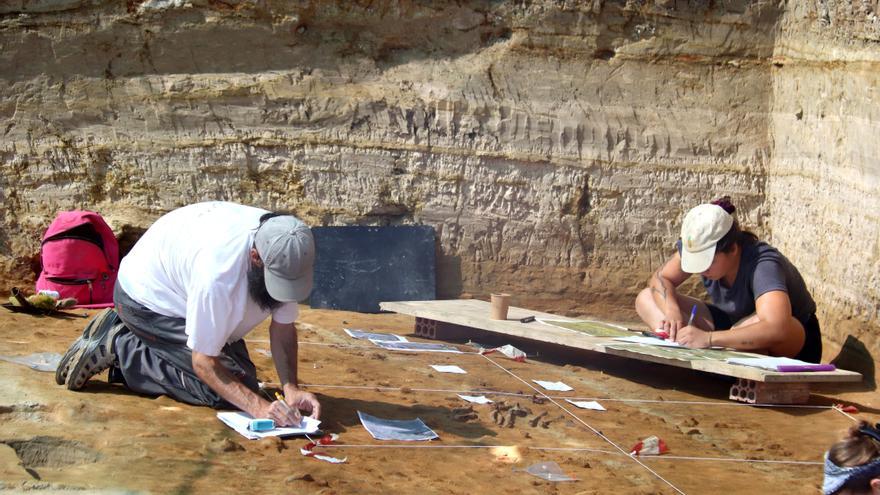 Troben una au aquàtica d&#039;un metre i mig de fa 3,1 milions d&#039;anys en el jaciment del Camp dels Ninots