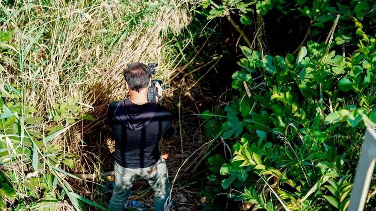 Ocultó el cadáver entre unos juncos en el tramo del río Guadalquivir correspondiente al barrio sevillano de San Jerónimo