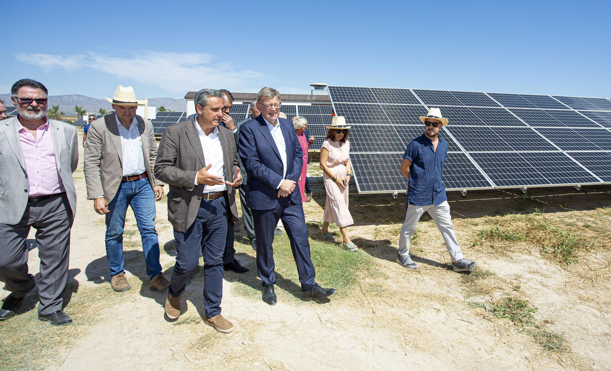 La primera planta solar de la cooperativa eléctrica de Catral ve la luz después de tres años