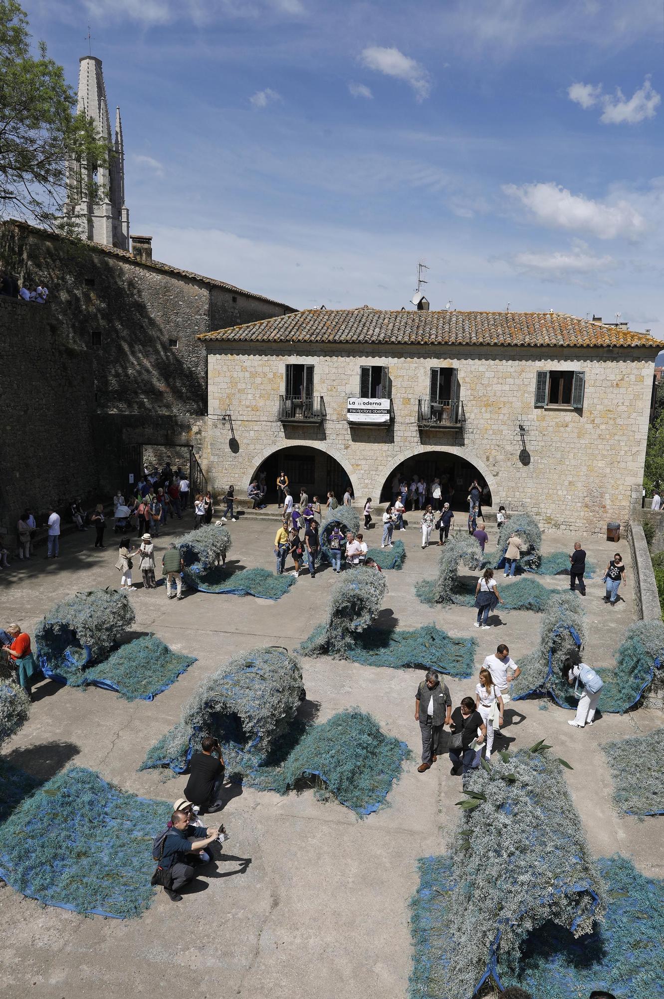 Girona es torna a omplir de color i riuades de gent en el retorn a la normalitat de Temps de Flors