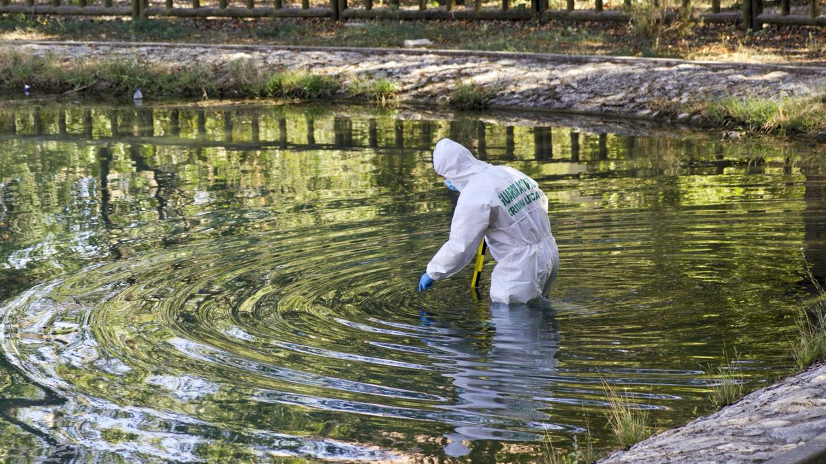 Un miembro de la Guardia Civil inspecciona el estanque en el paraje de La Muralla de Caravaca donde se ha ahogado una niña.