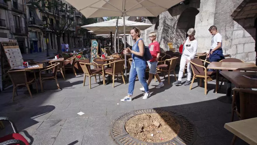 Els restaurants de la Rambla, contra la tala d'arbres que els deixa sense ombra