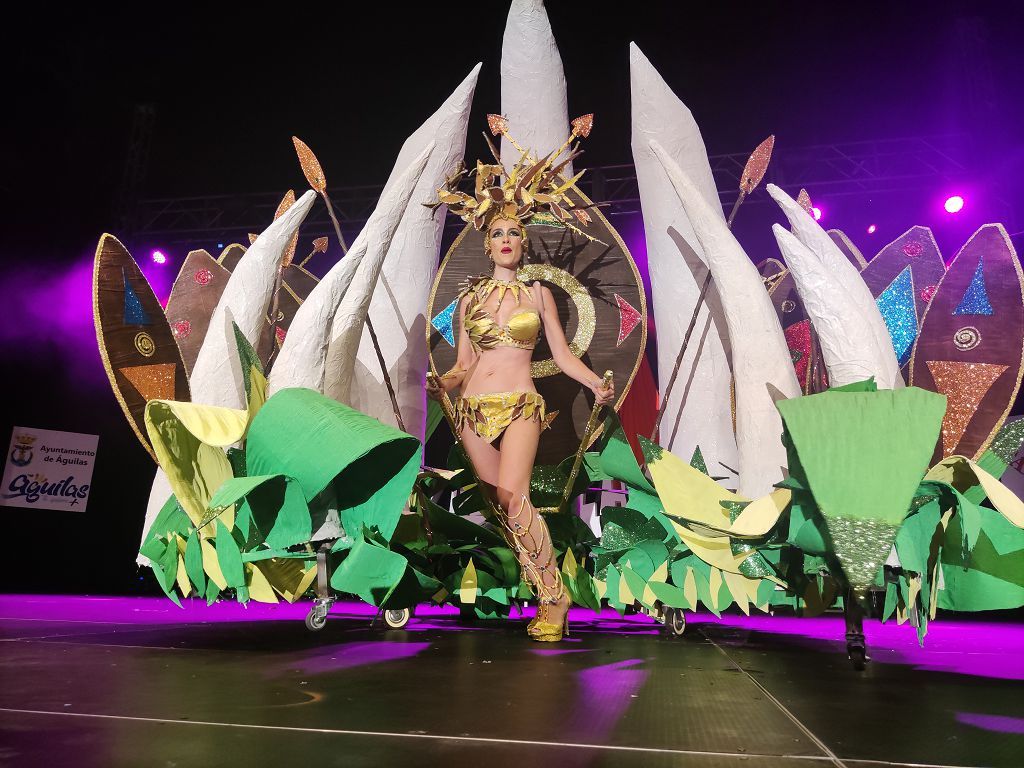 Gala Trajes de Papel del Carnaval de Águilas