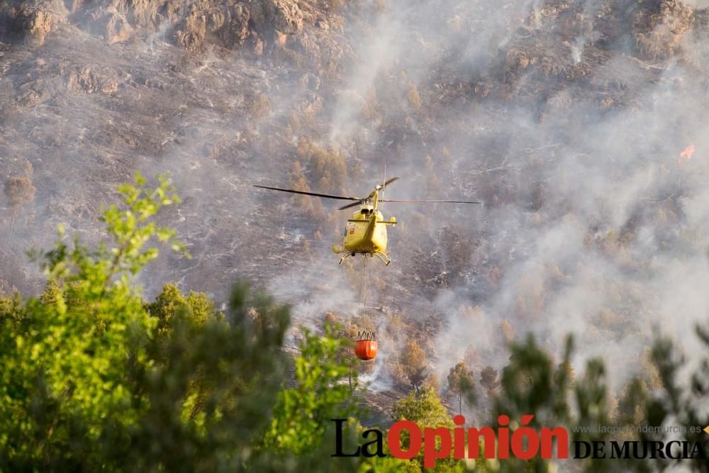 Incendio Sierra del Molino