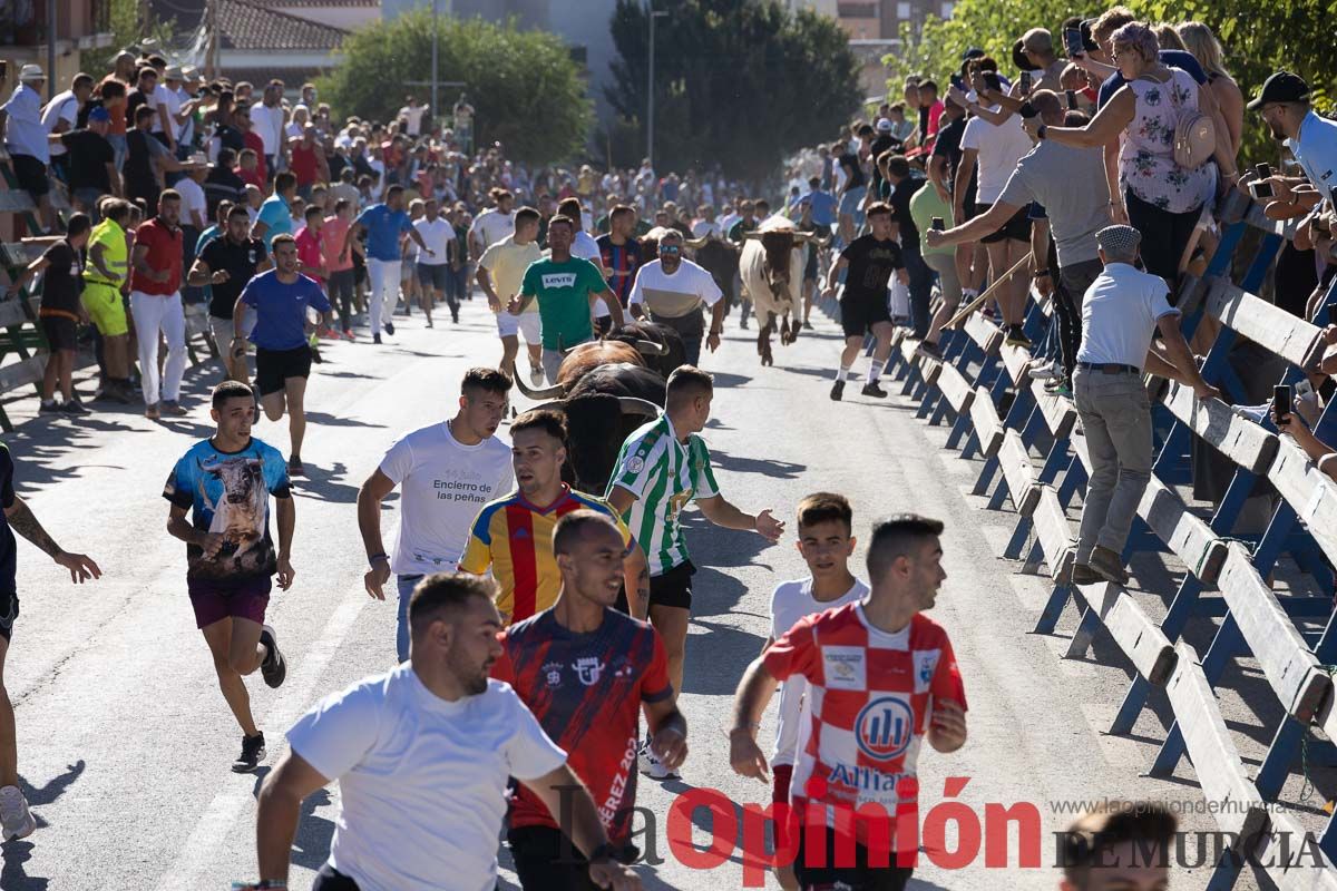 Cuarto encierro Feria del Arroz de Calasparra