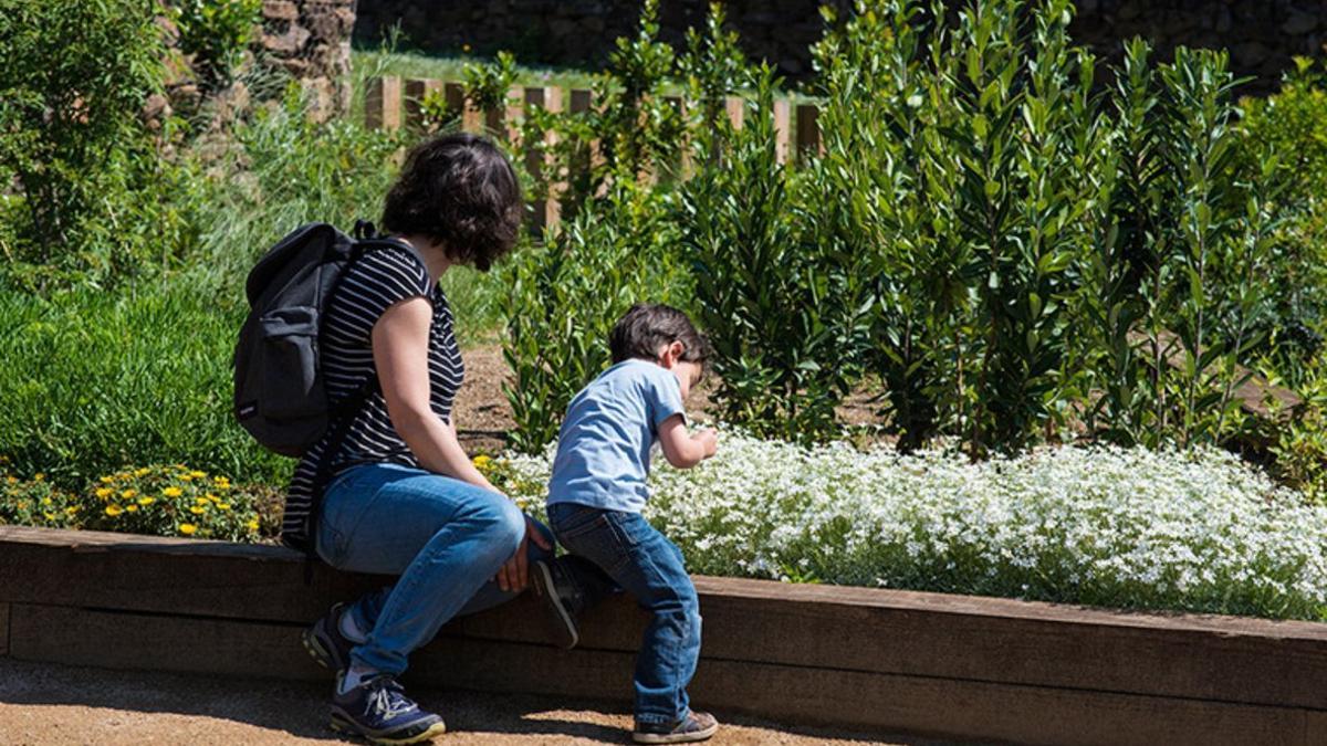 Jardín de mariposas en el parque de la Fontsanta, entre Esplugues y Sant Joan Despí