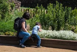 El AMB lanza un proyecto para mejorar la biodiversidad de parques y playas a partir del estudio de las mariposas