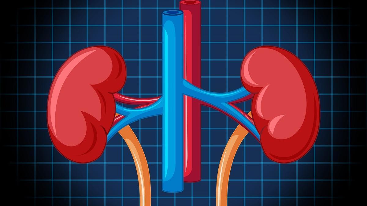 Un cólico renal puede estar detrás de nuestros problemas al orinar