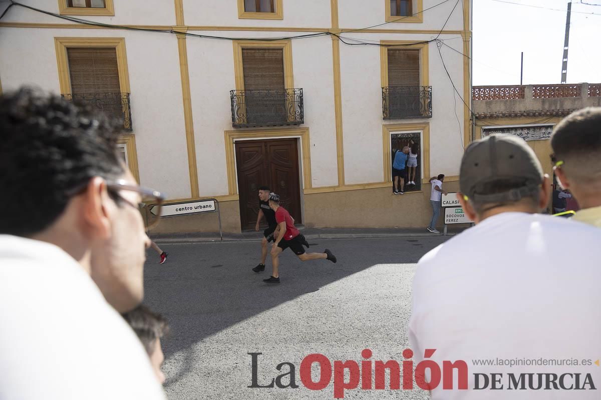 Cuarto encierro en las Fiestas de Moratalla