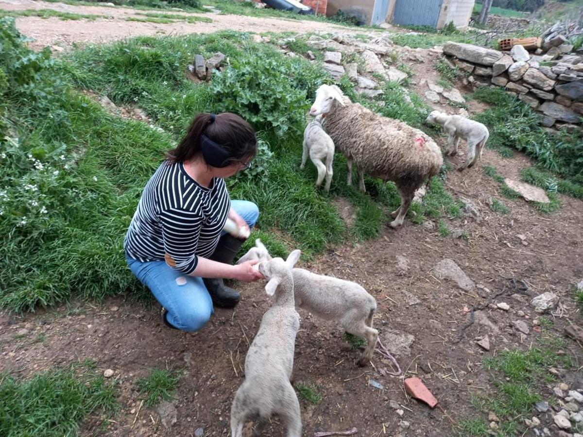 Soro da el biberón a uno de los corderos en la masía.