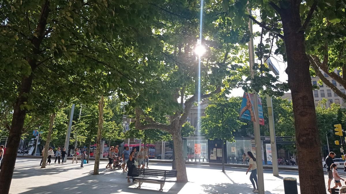 Los rayos del sol se cuelan entre los árboles de la plaza Aragón, este jueves por la tarde