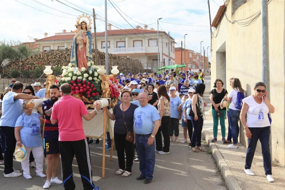 Romería de la Virgen del Rosario en Barinas