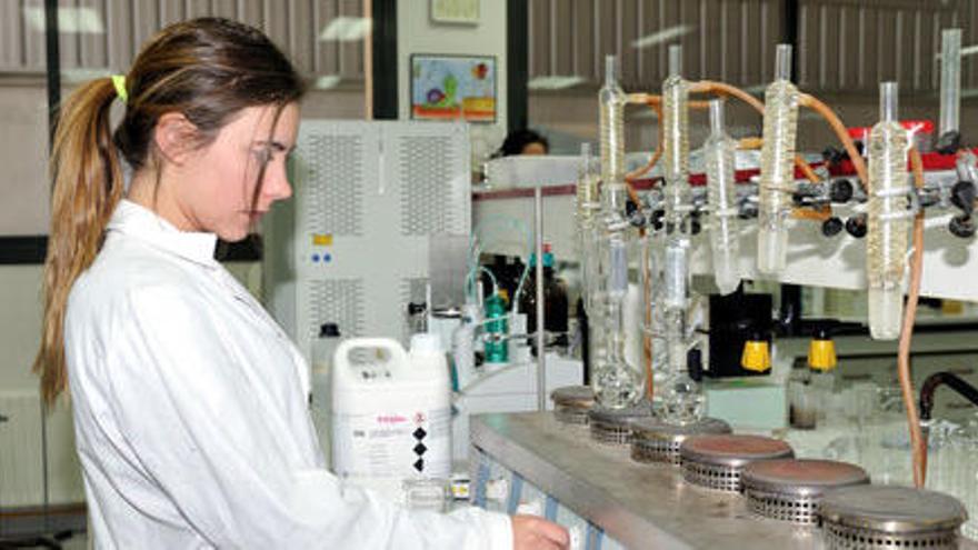 Una estudiant als laboratoris del Campus Universitari d&#039;Igualada.