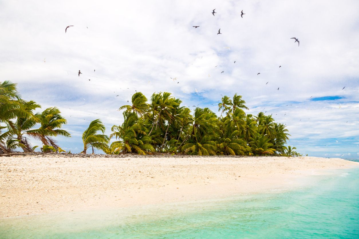 Playa de arena blanca con bandada de pájaros volando. Atolón de Funafuti, Tuvalu, Polinesia, Pacífico Sur, Oceanía