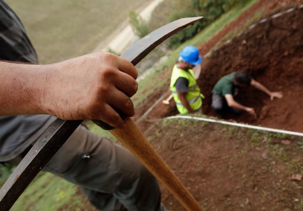 Excavación en el castro de Boinas