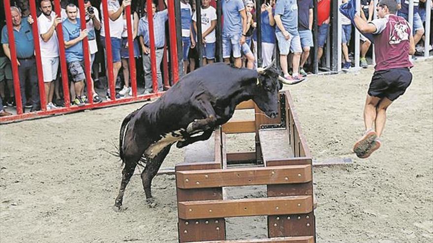 Los astados toman las calles en entradas y exhibiciones