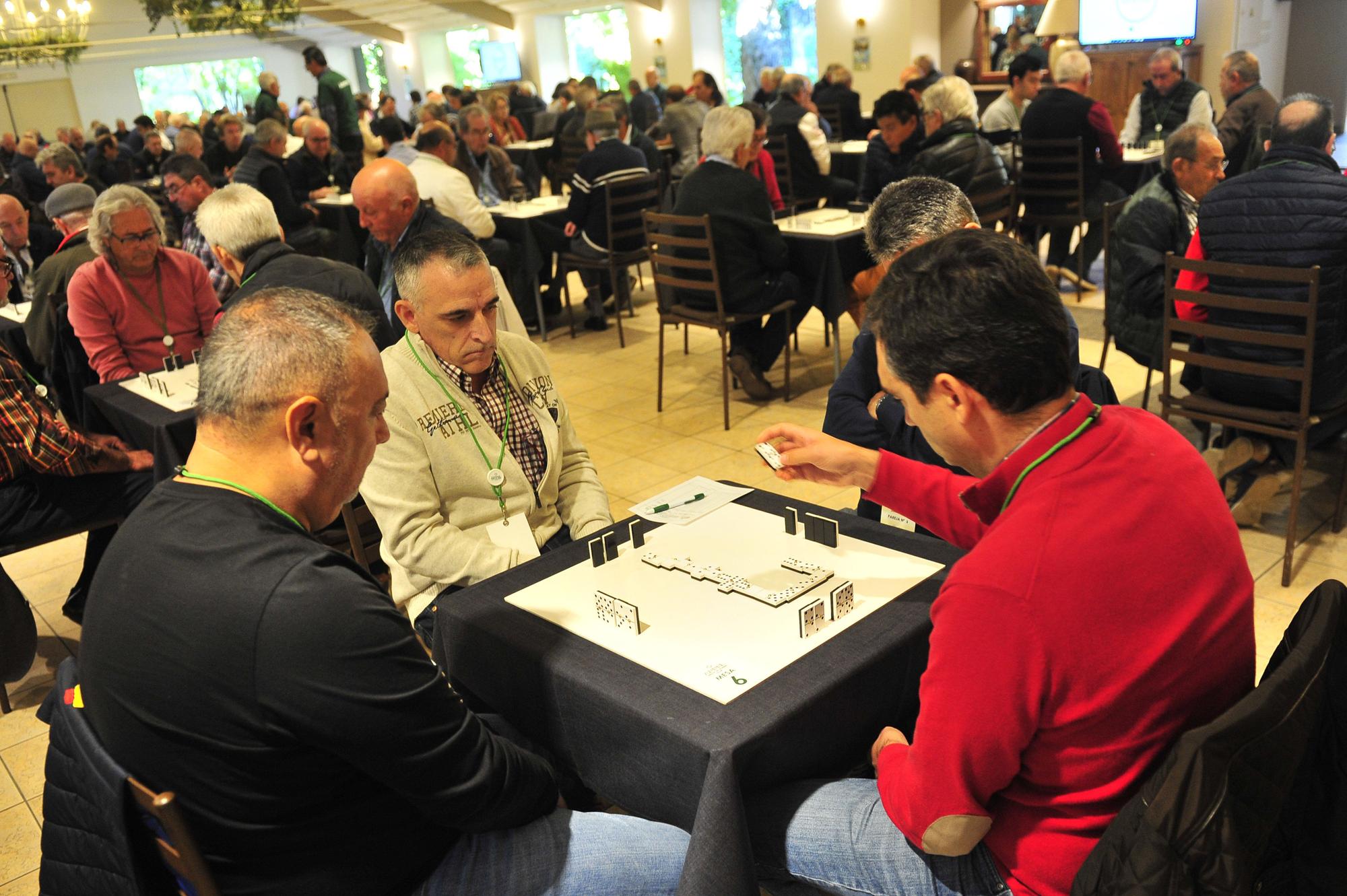 Segundo Torneo de Dominó Ciudad de Elche