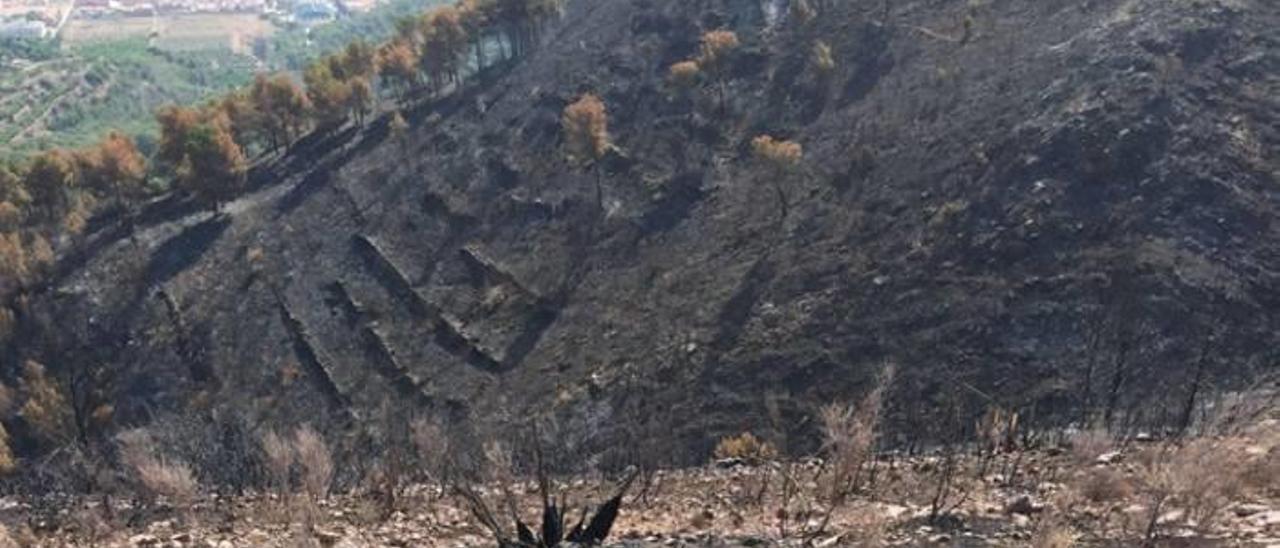 Los incendios de les Valls afectaron a monte de Romeu que Sagunt  quiere convertir en paraje natural