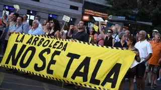 La tala de árboles por la ampliación de la línea 11 de Metro de Madrid llegará en septiembre al Parlamento Europeo