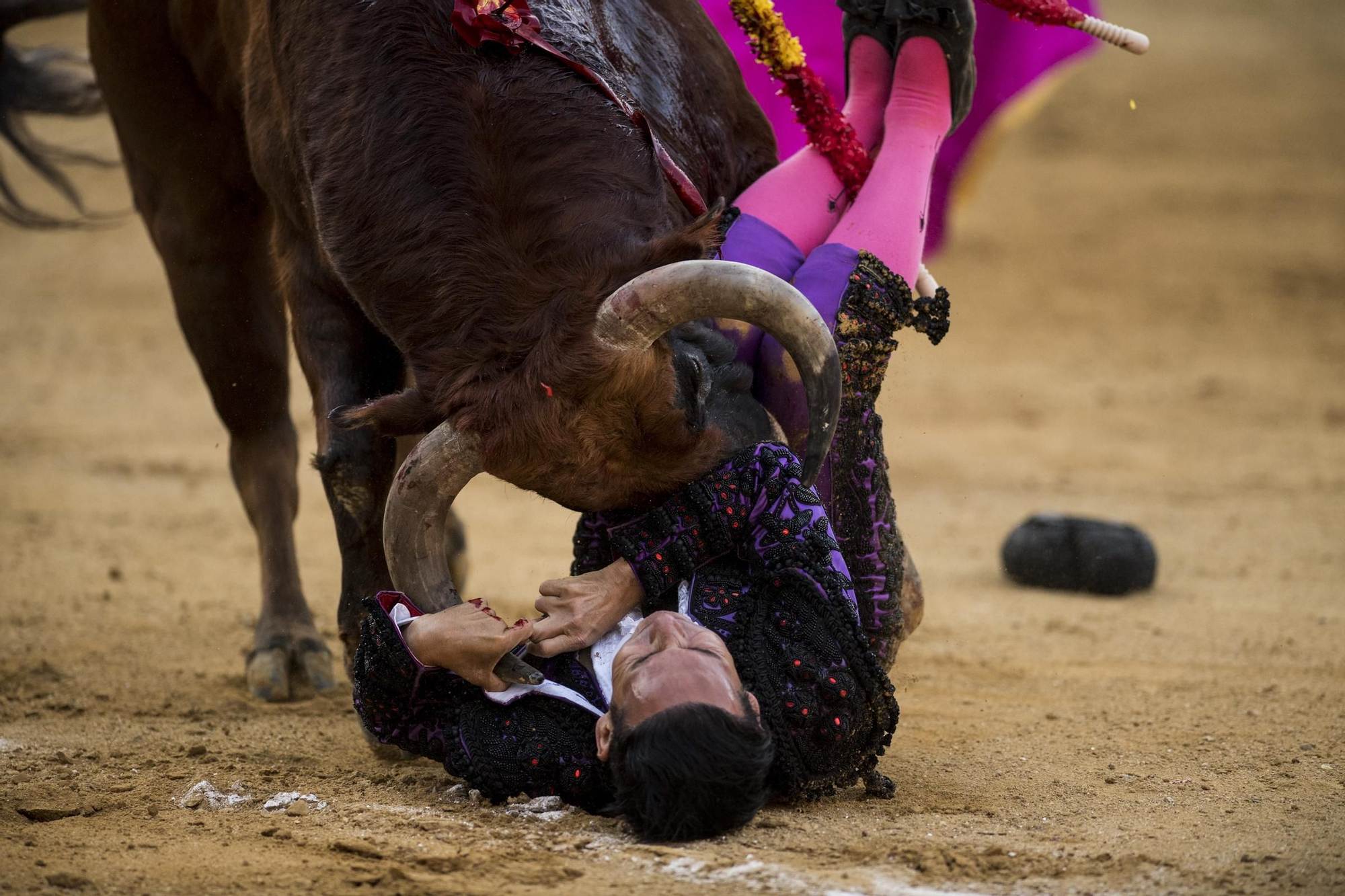 Galería | Cogidas en la plaza de toros de Cáceres