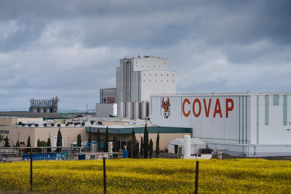 Terrenos futuro polígono junto a Covap en Pozoblanco