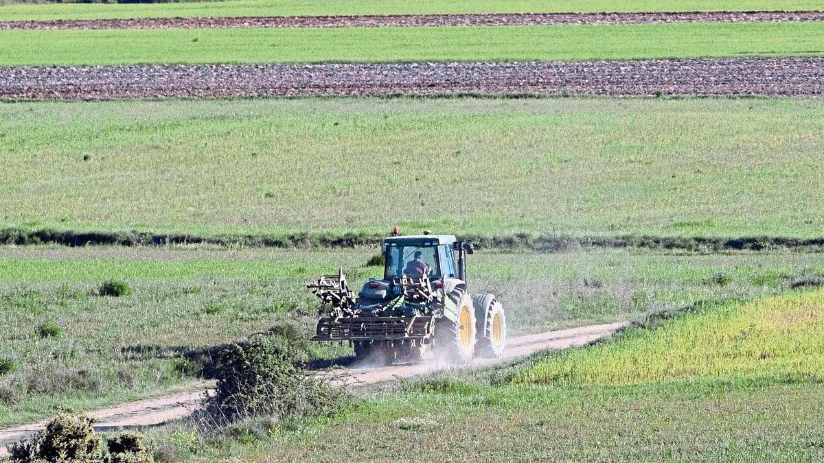 Un campesino trabaja el campo en su tractor.
