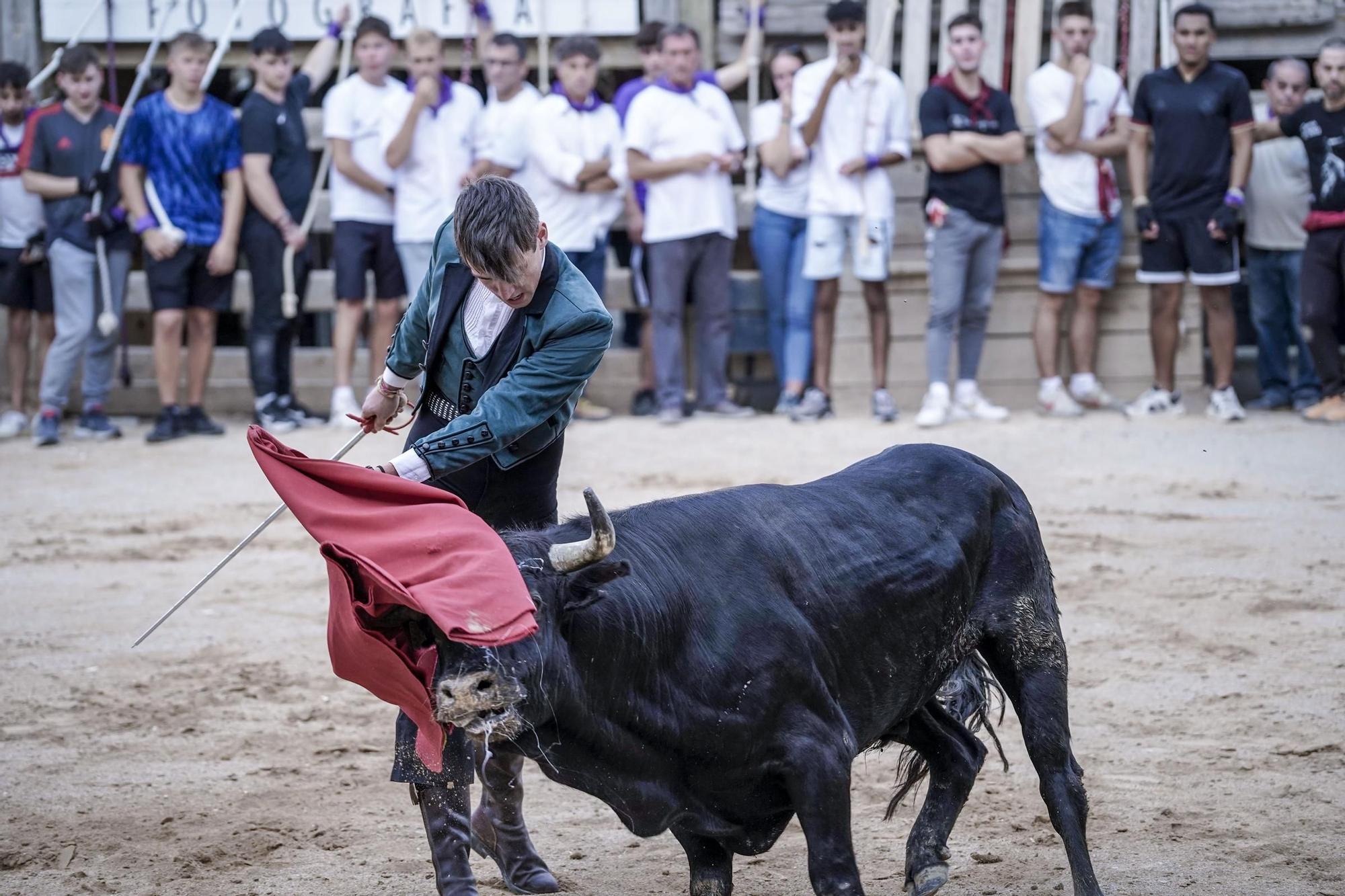 Correde bou de Cardona: imatges de la segona jornada