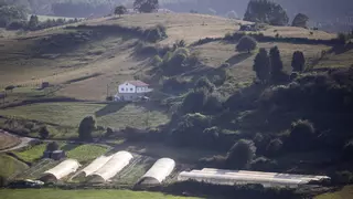 Industrial y rural