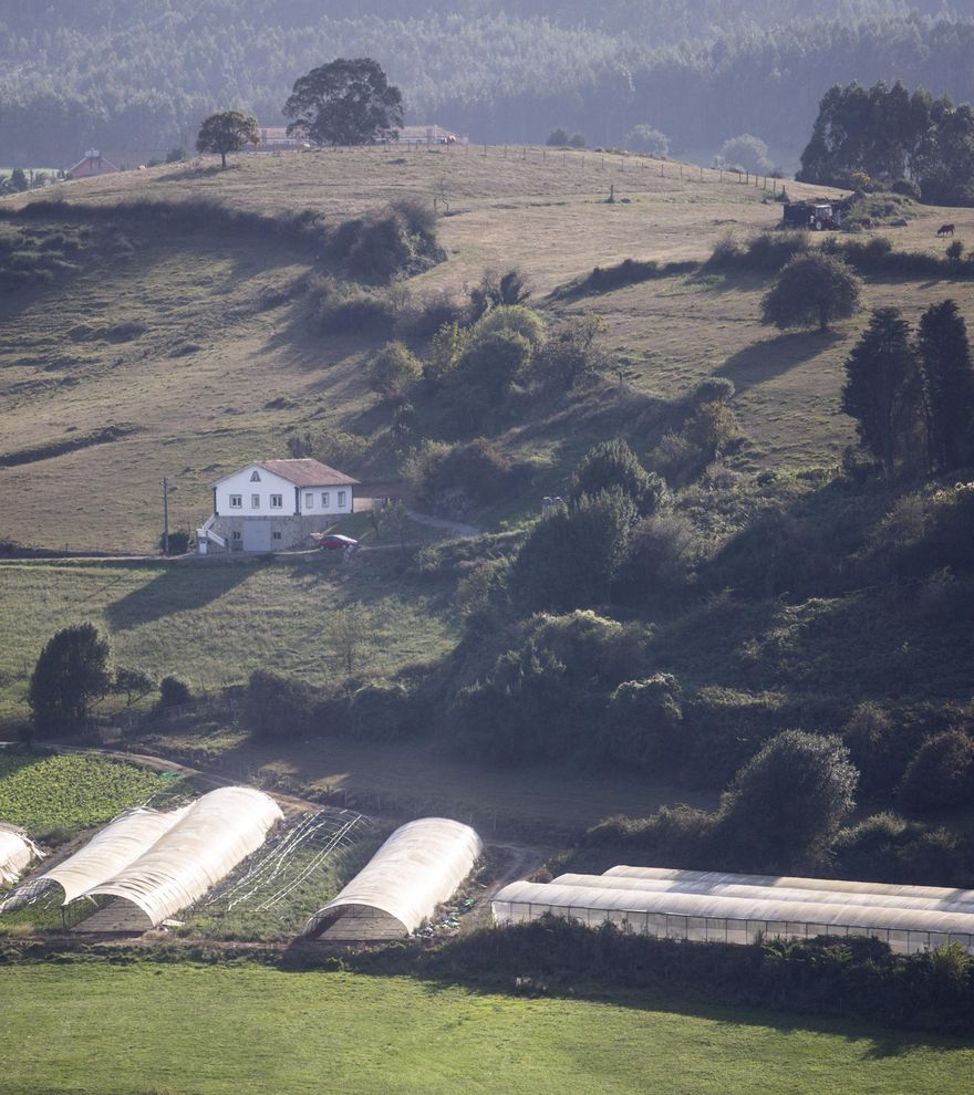 Industrial y rural