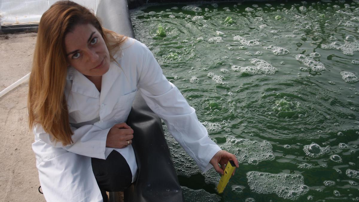 Natalia Cristina Concepción Grande, en una de las balsas en las que produce espirulina, con el sistema que ha ideado.
