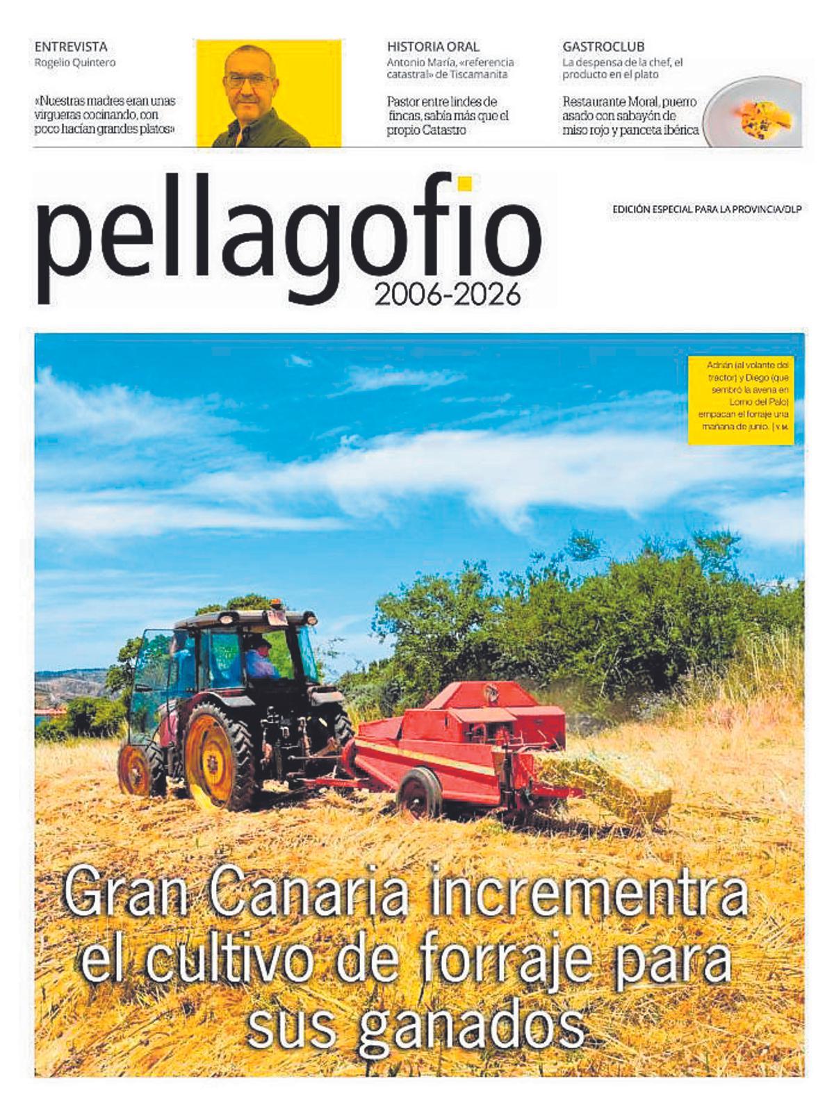 Imagen avance portada pellagofio de julio de 2026
