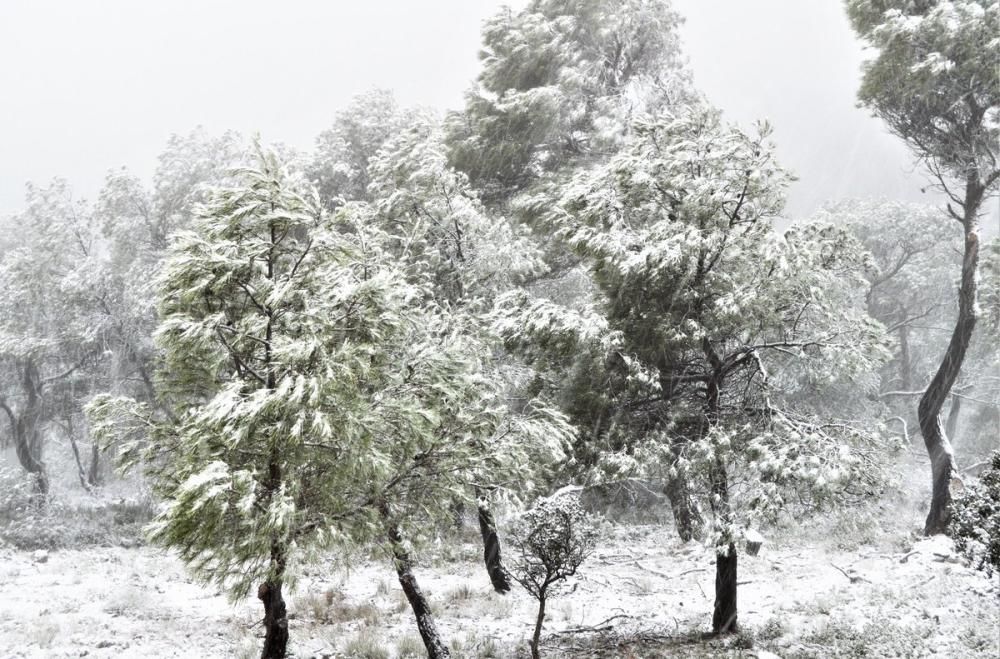 Vuelve a nevar en la Región de Murcia