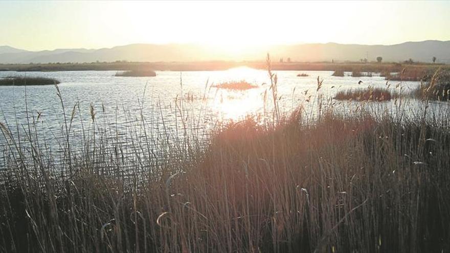 El Prat de Cabanes-Torreblanca posa en valor la seua biodiversitat