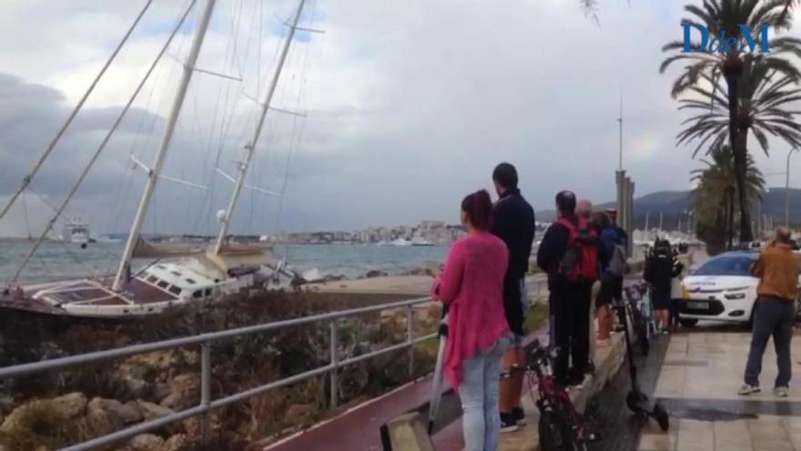 Segelboot strandet in Palma de Mallorca