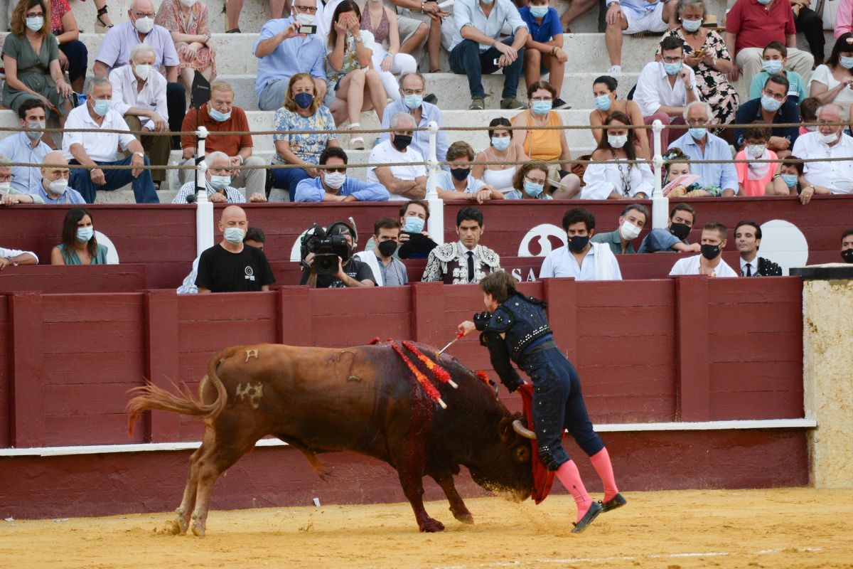 Las imágenes de la novillada en La Malagueta de la Feria taurina de Málaga de 2021.