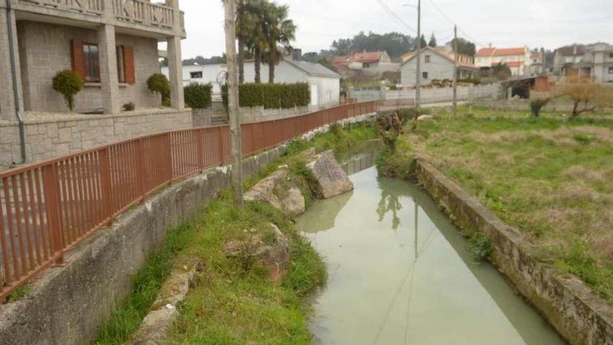 El río Cañón adquirió una vistosa coloración verde. // Noé Parga