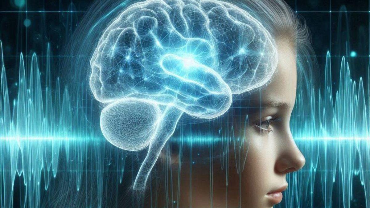 El cerebro modifica su dinámica ante cada nueva instancia que se vive durante una jornada.