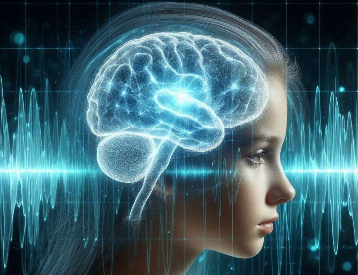 El cerebro modifica su dinámica ante cada nueva instancia que se vive durante una jornada.