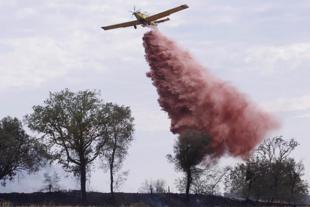 Incendi entre Cruïlles i Monells