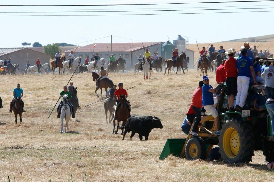 Encierro Guarrate