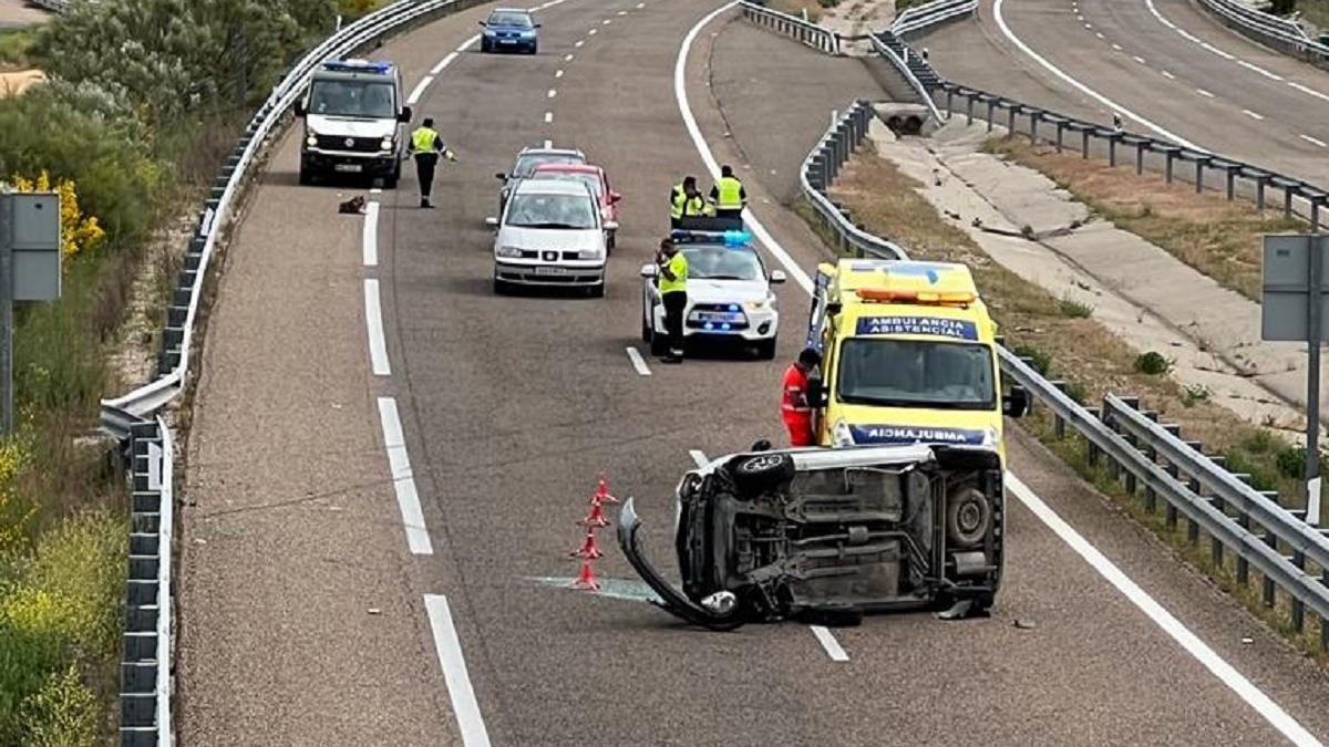 Accidente en la A-11 provocado por un lobo.