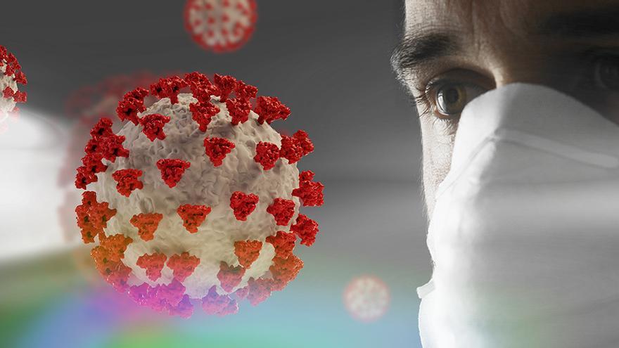 El virus que se nos metió en la cabeza