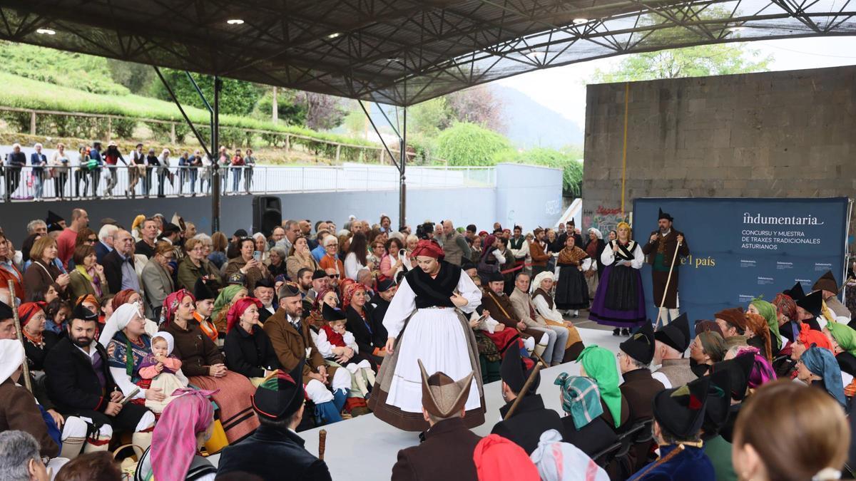 Celebración del Día del traxe en Grado.