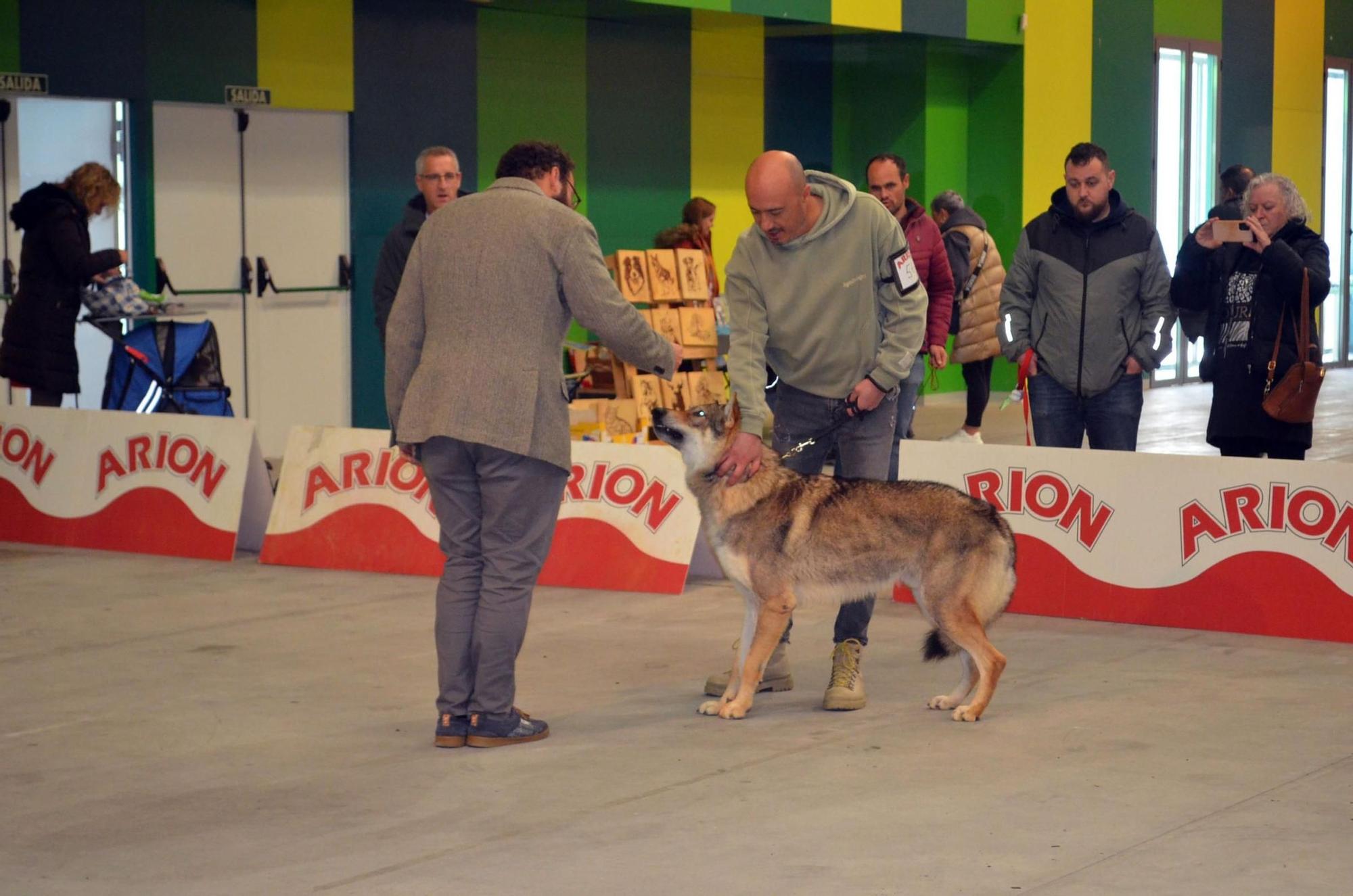 El Concurso Nacional Canino de Benavente supera las expectativas