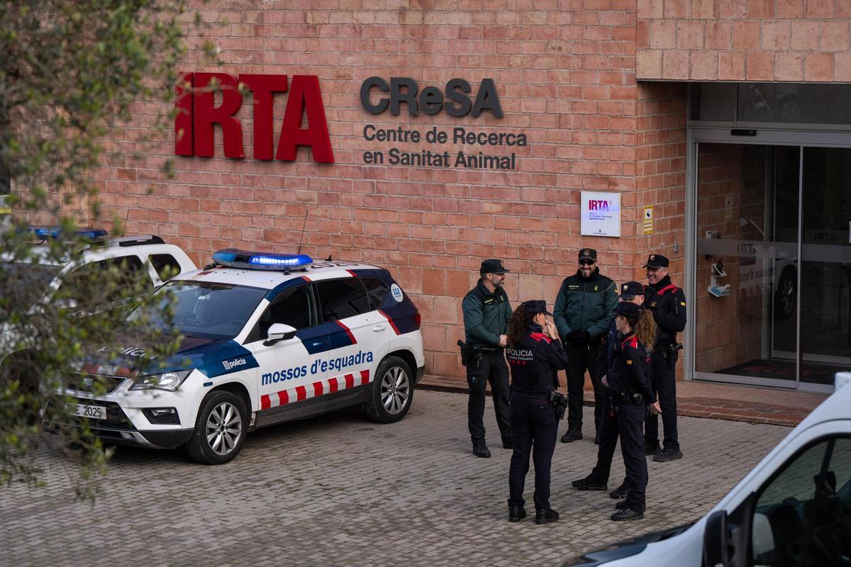 Registro policial en el laboratorio IRTA-CReSA de Cerdanyola, investigado por el origen de la peste porcina
