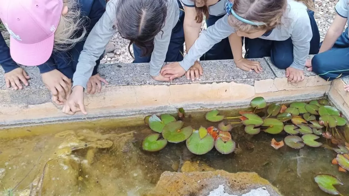 Alcoy apuesta por un “modelo coordinado” de acciones para fomentar la concienciación ambiental