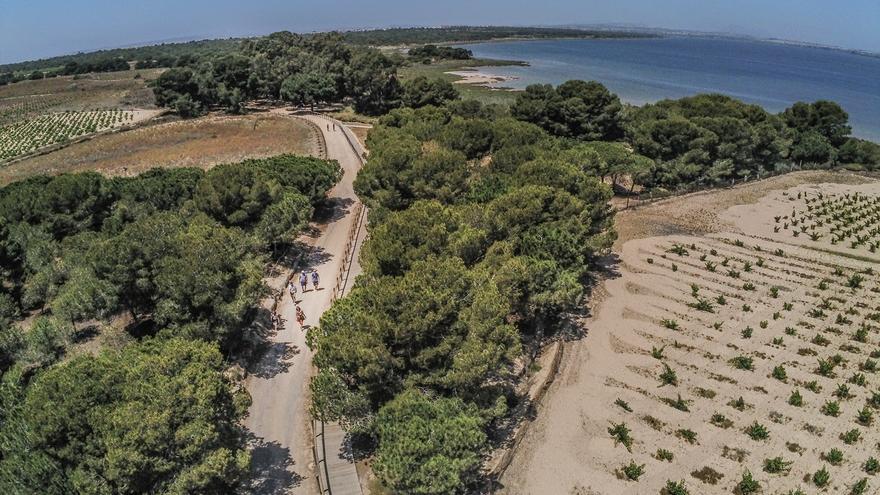 El nuevo servicio de educación ambiental del Ayuntamiento de Torrevieja ofrecerá 32 rutas anuales al parque natural